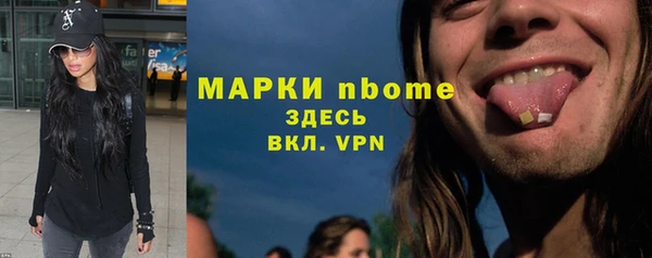 прущий лед Алзамай