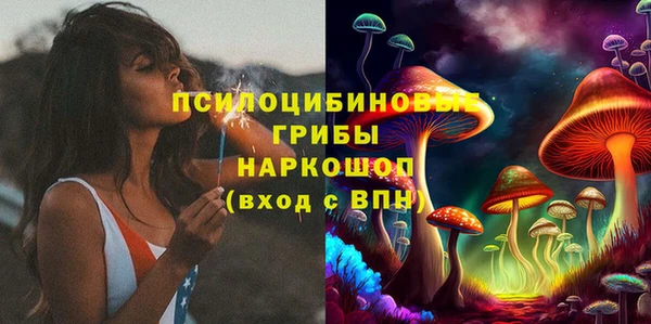 прущий лед Алзамай